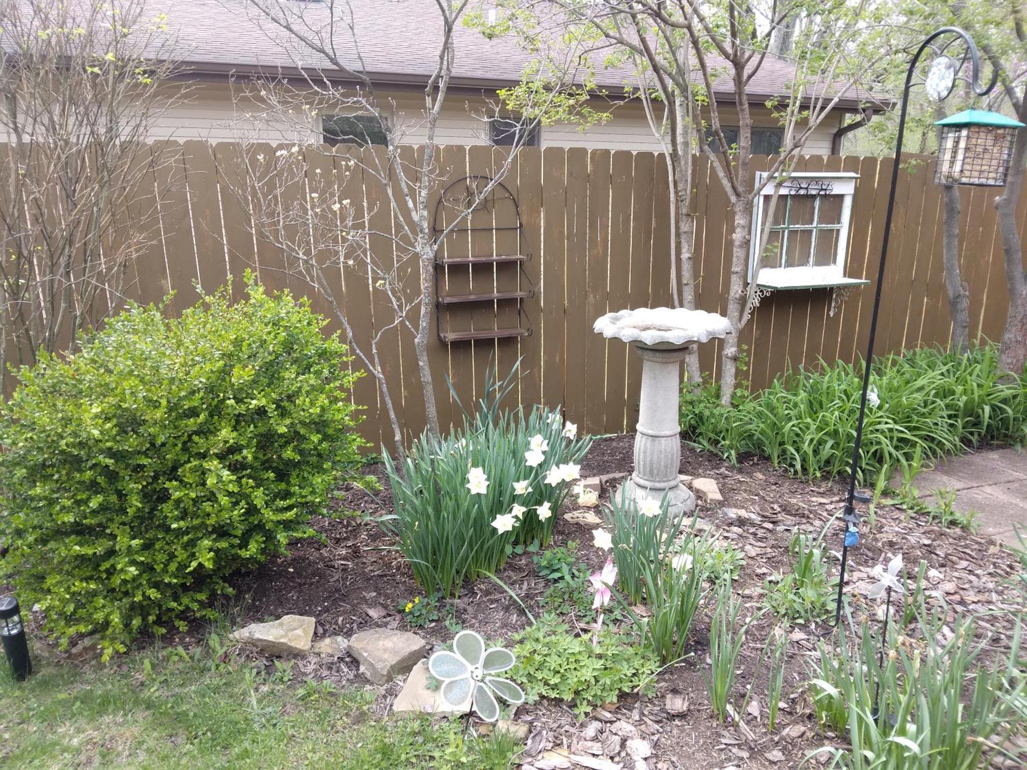 Betty Lous Garden Bed and Breakfast Nashville Eksteriør billede